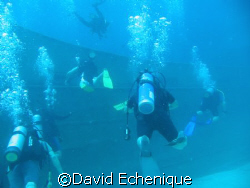 Wreck diving on the Ray of Hope  by David Echenique 